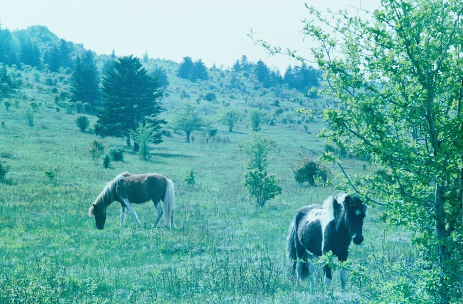 frame012.jpg