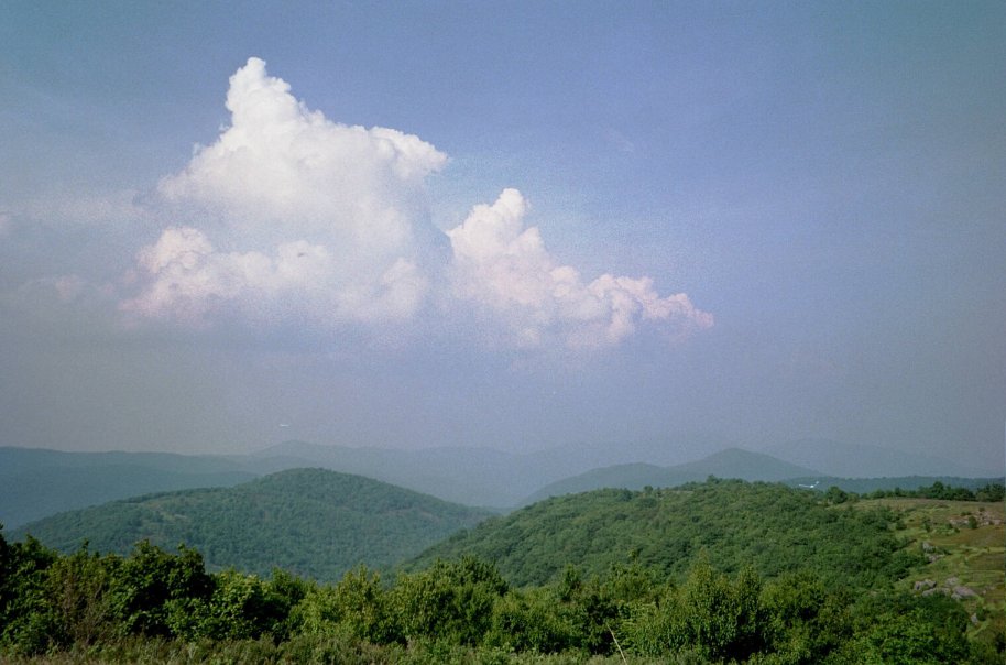 frame018.jpg