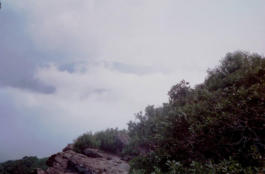 frame04.jpg