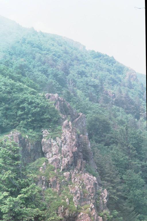 frame06.jpg
