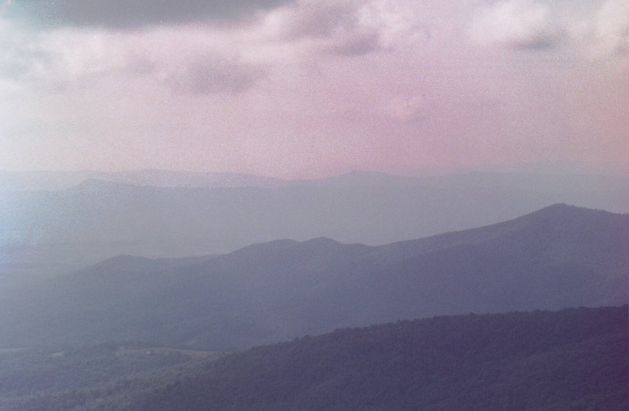 frame19.jpg