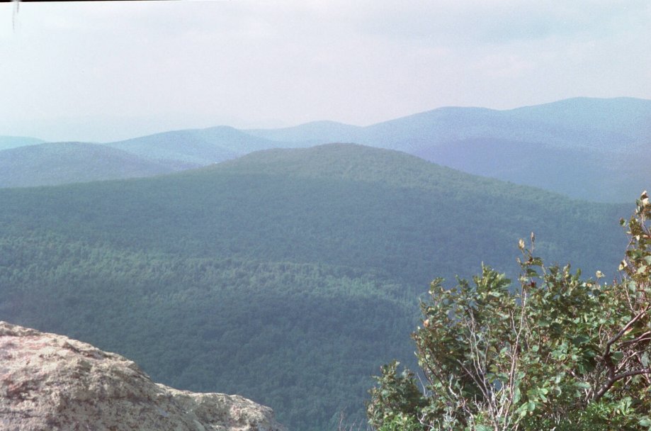 frame20.jpg