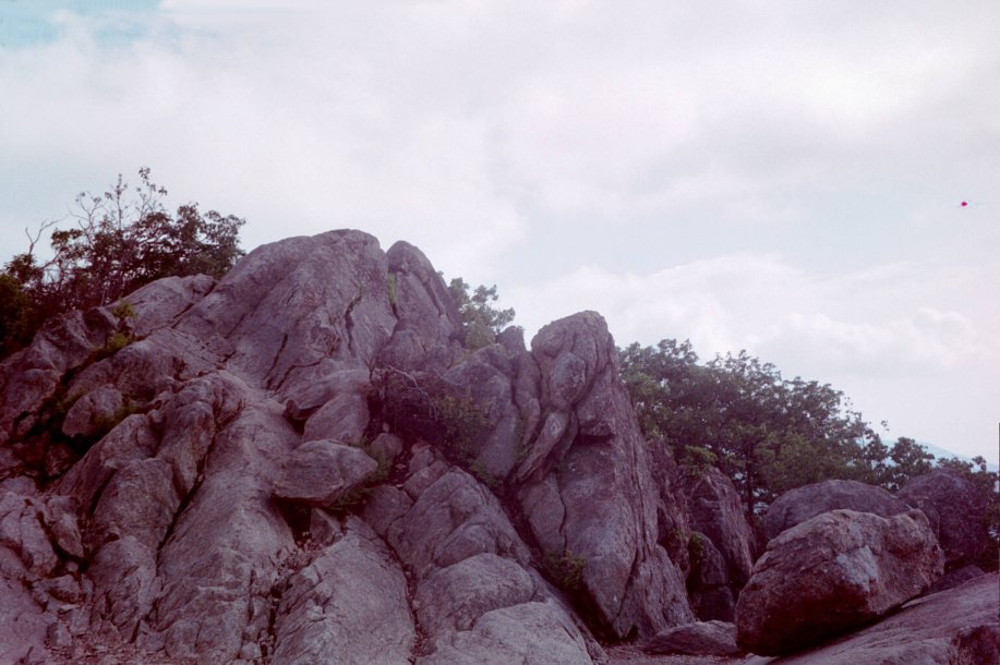 frame21.jpg