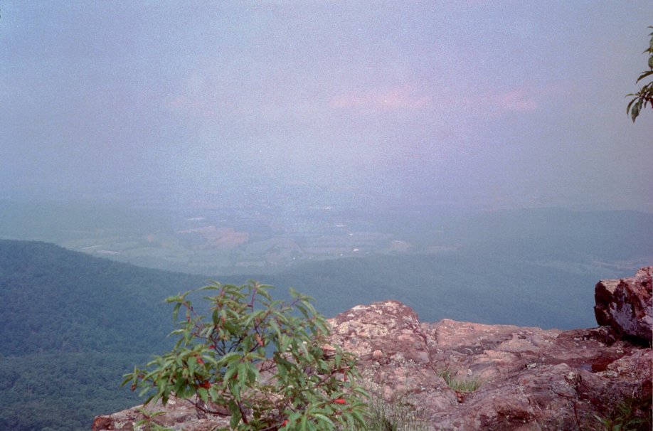 frame7.jpg