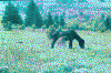 frame010.jpg