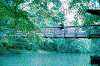 little_wolf_creek.jpg