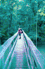 max_bridge.jpg