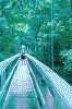 samwise_bridge.jpg