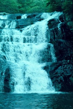 Laurel Creek Falls