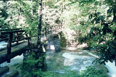 Little Wolf Creek