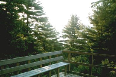  Silver Hill campsite 