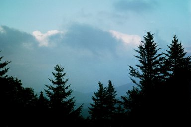  Pico Camp 