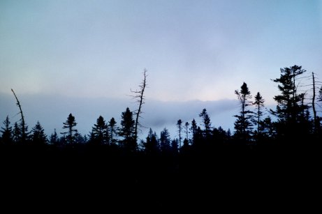 Early Morning View