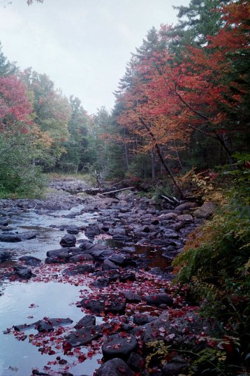 Piscataquis River