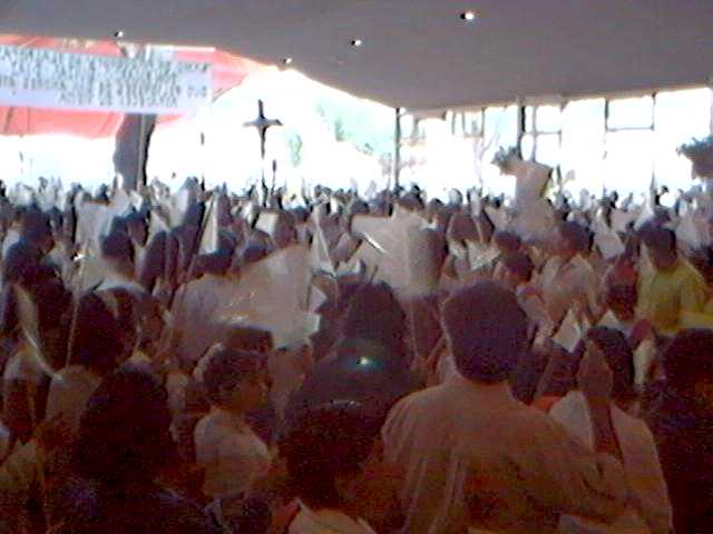 la gente ondeaba las banderas blancas y amarillas