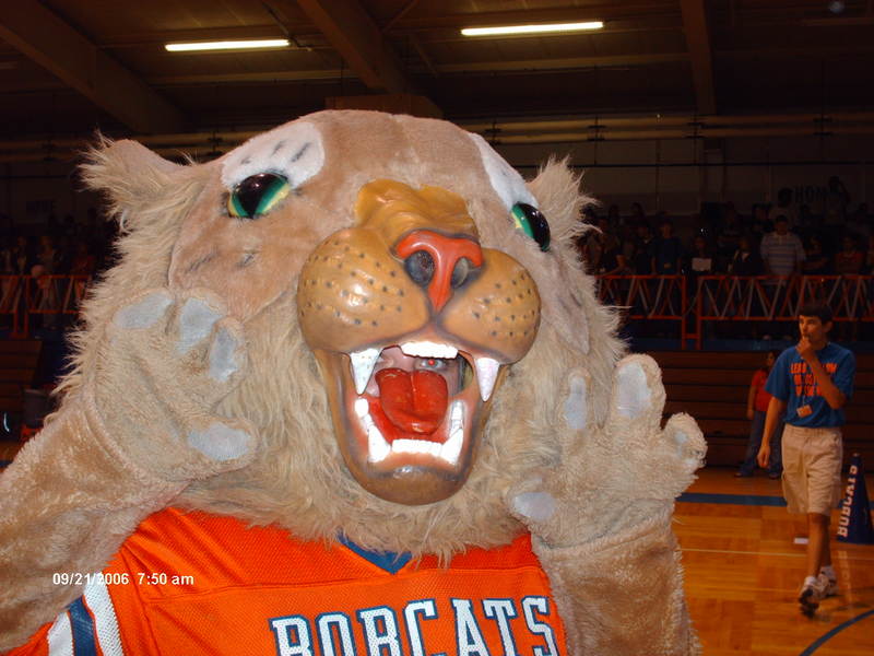 Hey Guys! it's me Mr. Bobcat! Also known as Holly from the Mighty Bobcat Band!