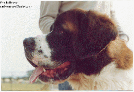 click para mayor resolucion