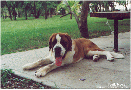 click para mayor resolucion