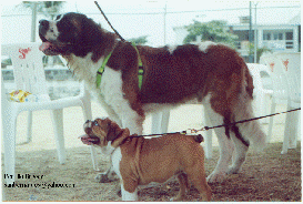 click para mayor resolucion