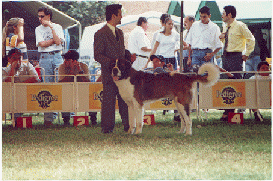 Competencia Nacional