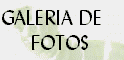 galeria de fotos 