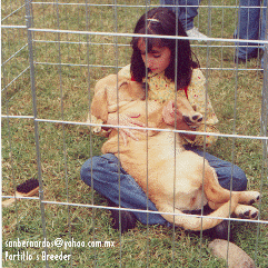 Foto del mes - Ni�a y su perro