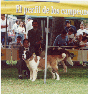 Mozart Portillo Campeon Nacional