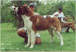 click para mayor resolucion