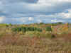 Russia1.jpg (770390 bytes)