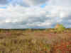 Russia2.jpg (729308 bytes)