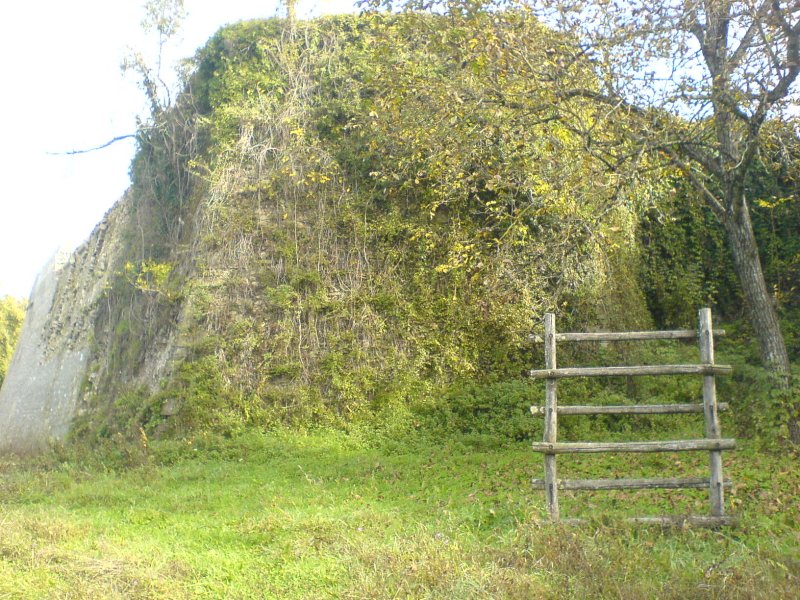 Overgrown Fortress