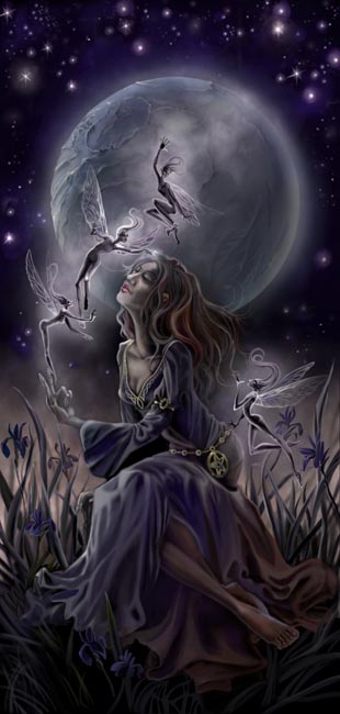 Midnight Iris