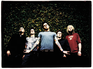 Go to the Official Adema Site