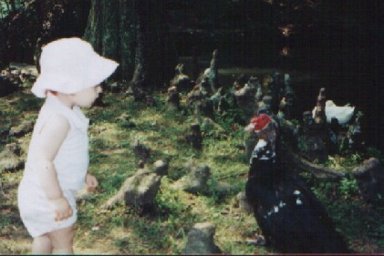 emma and the ugly duckling