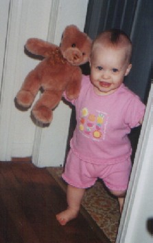 see teddy
