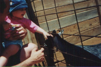 Emma pets a goat