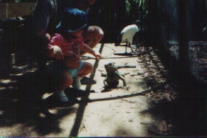 Emma pets the iguana