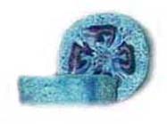 seashore loofa