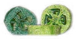lime loofa