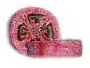 raspberry loofa