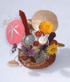 Potted SeaShells