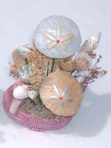 Potted SeaShells