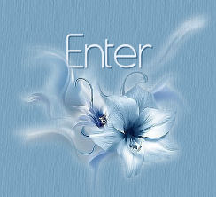 Enter Here