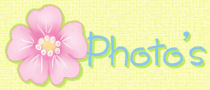 Photo's