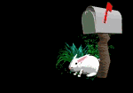 Email Sanders Community
