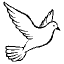 dove