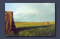 Summer pasture