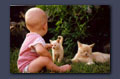 Here kitty, kitty