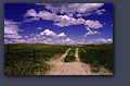 Pasture trail