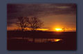 Sunset over pond